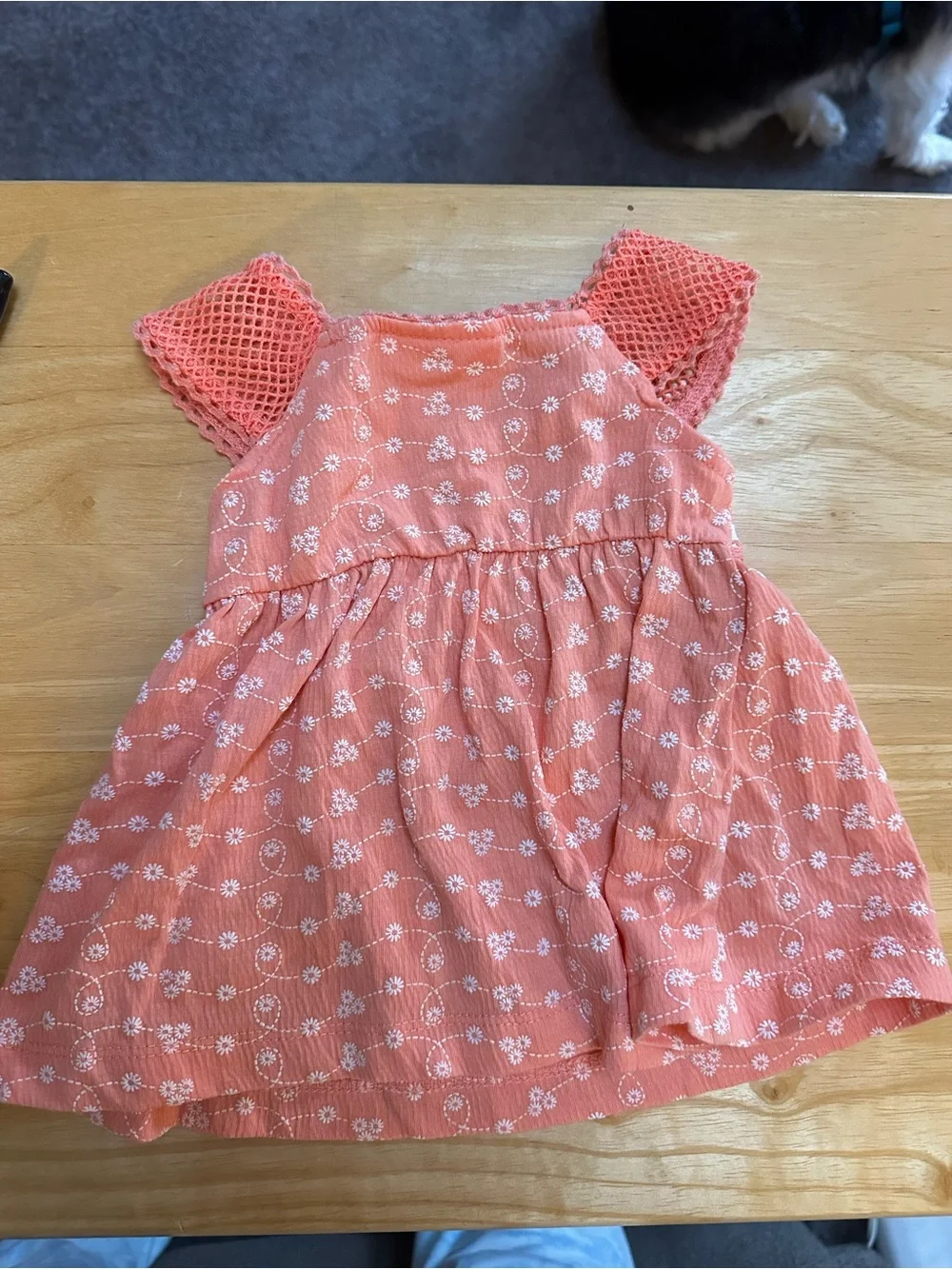 Little Me Coral Floral 2 piece Baby top with Eyelet Sleeves and denim shorts - Picture 5 of 10